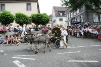 IMG_6442 (2) 